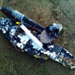 Spitfire fallen from tree